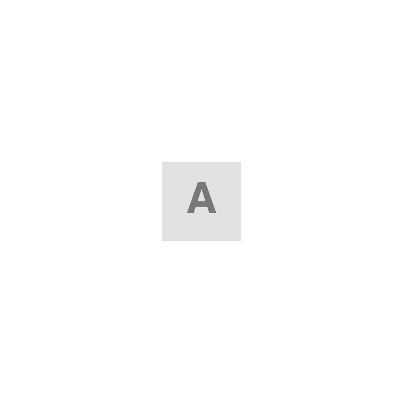 AnyDesk Solo