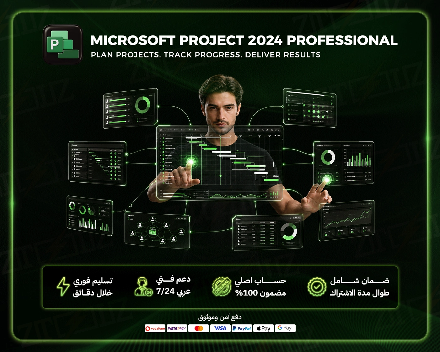 Microsoft Project 2024 Professional