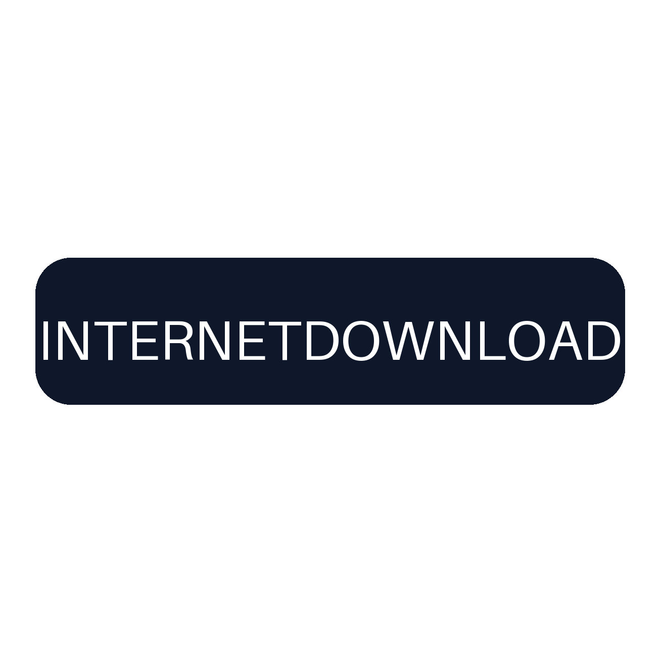 Internet Download Manager