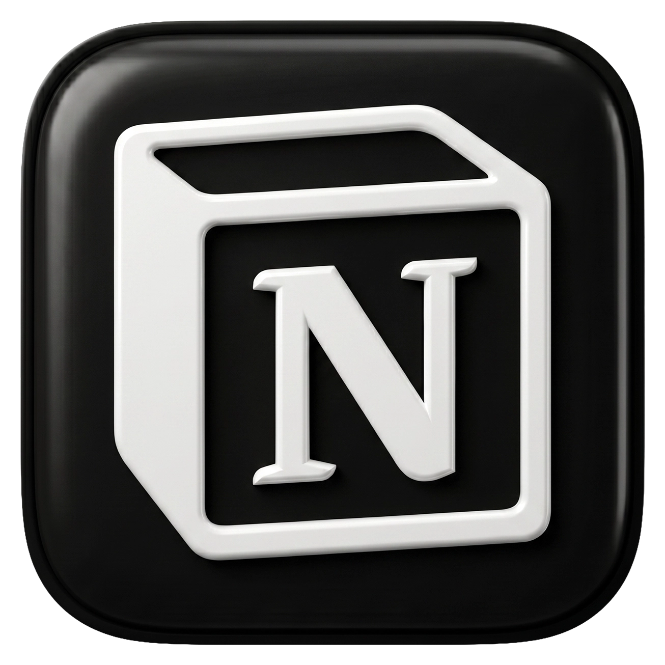 Notion plus
